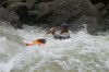 Thumbs/tn_Img_6457.jpg