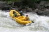 Thumbs/tn_Img_6481.jpg
