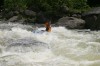 Thumbs/tn_Img_6501.jpg