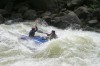 Thumbs/tn_Img_6509.jpg