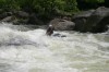 Thumbs/tn_Img_6521.jpg