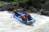 Thumbs/tn_Img_6536.jpg