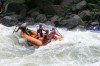 Thumbs/tn_Img_6556.jpg