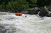 Thumbs/tn_Img_6706.jpg