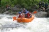Thumbs/tn_Img_6738.jpg