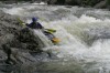 Thumbs/tn_Img_6743.jpg