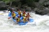 Thumbs/tn_Img_6798.jpg