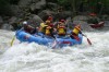 Thumbs/tn_Img_6813.jpg