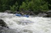 Thumbs/tn_Img_6934.jpg