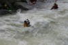 Thumbs/tn_Img_6969.jpg