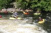 Thumbs/tn_Img_3419.jpg