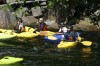 Thumbs/tn_Img_3421.jpg