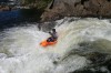 Thumbs/tn_Img_3440.jpg