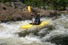 Thumbs/tn_Img_3500.jpg