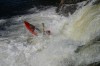 Thumbs/tn_Img_3510.jpg