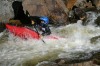 Thumbs/tn_Img_3530.jpg