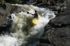 Thumbs/tn_Img_3542.jpg