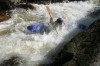 Thumbs/tn_Img_3562.jpg