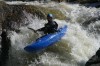 Thumbs/tn_Img_3594.jpg