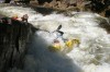 Thumbs/tn_Img_3602.jpg