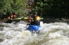 Thumbs/tn_Img_3605.jpg