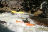 Thumbs/tn_Img_3644.jpg