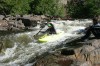 Thumbs/tn_Img_3657.jpg
