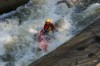 Thumbs/tn_Img_3667.jpg