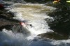 Thumbs/tn_Img_3730.jpg