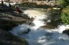 Thumbs/tn_Img_3732.jpg