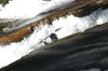 Thumbs/tn_Img_3906.jpg