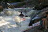 Thumbs/tn_Img_3909.jpg