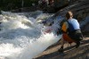 Thumbs/tn_Img_3945.jpg