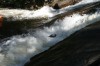 Thumbs/tn_Img_3950.jpg
