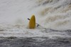 Thumbs/tn_Img_0713.jpg