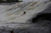 Thumbs/tn_Img_0732.jpg