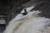 Thumbs/tn_Img_1036.jpg