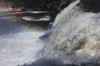 Thumbs/tn_Img_3149.jpg