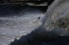 Thumbs/tn_Img_3210.jpg