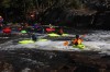 Thumbs/tn_Img_3636.jpg