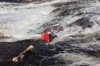 Thumbs/tn_Img_3772.jpg
