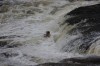 Thumbs/tn_Img_3923.jpg