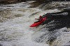 Thumbs/tn_Img_3965.jpg