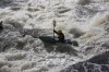 Thumbs/tn_Img_4061.jpg