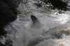 Thumbs/tn_Img_4066.jpg