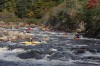 Thumbs/tn_Img_4068.jpg