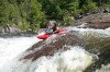 Thumbs/tn_Img_1901.jpg