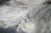 Thumbs/tn_Img_1927.jpg