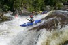 Thumbs/tn_Img_1952.jpg