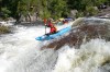 Thumbs/tn_Img_1955.jpg